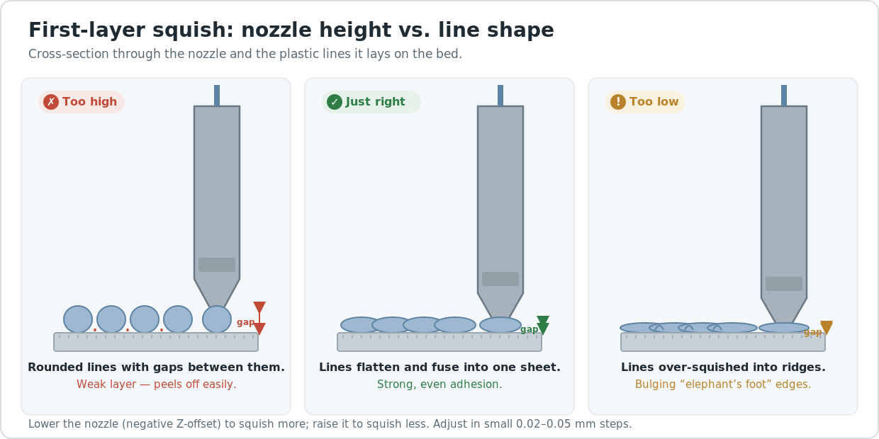 Diagram of three first-layer extrusion profiles — nozzle too high with round separated lines, correct squish with flat fused lines, and too low with dragging and gaps.