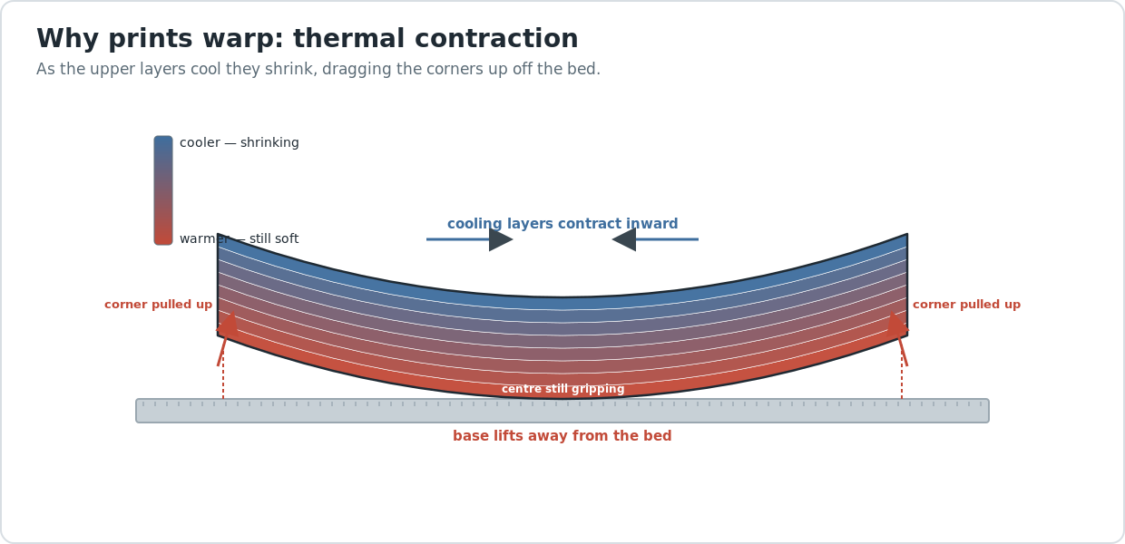 Diagram showing why prints warp — upper layers cool and contract inward, pulling the corners up off the bed while the warm centre still grips.